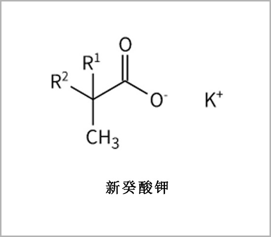 固原市噴涂硬泡催化劑