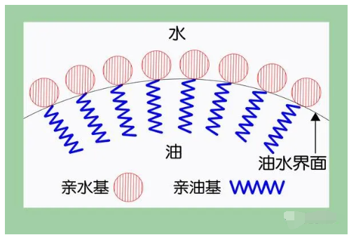 表面活性劑在生命體系